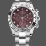 Replica Rolex Cosmograph Daytona 40MM White Gold Rare Rubellite Dial 116509 Herrenuhr