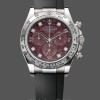 Replica Rolex Cosmograph Daytona 40MM White Gold Rare Rubellite Dial 116509 Rubber Strap Kompromisslose Präzision