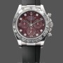 Replica Rolex Cosmograph Daytona 40MM White Gold Rare Rubellite Dial 116509 Rubber Strap