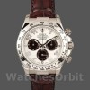 Replica Rolex Daytona 116519 Panda Dial Chocolate Leather Strap 40mm Herren Replica Uhr, Replica Uhren, Robuste Qualität